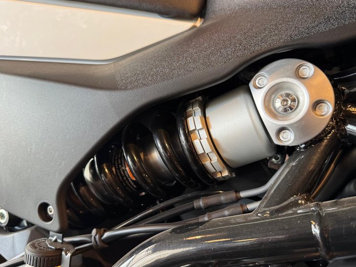 2024 Harley-Davidson X 350 X White