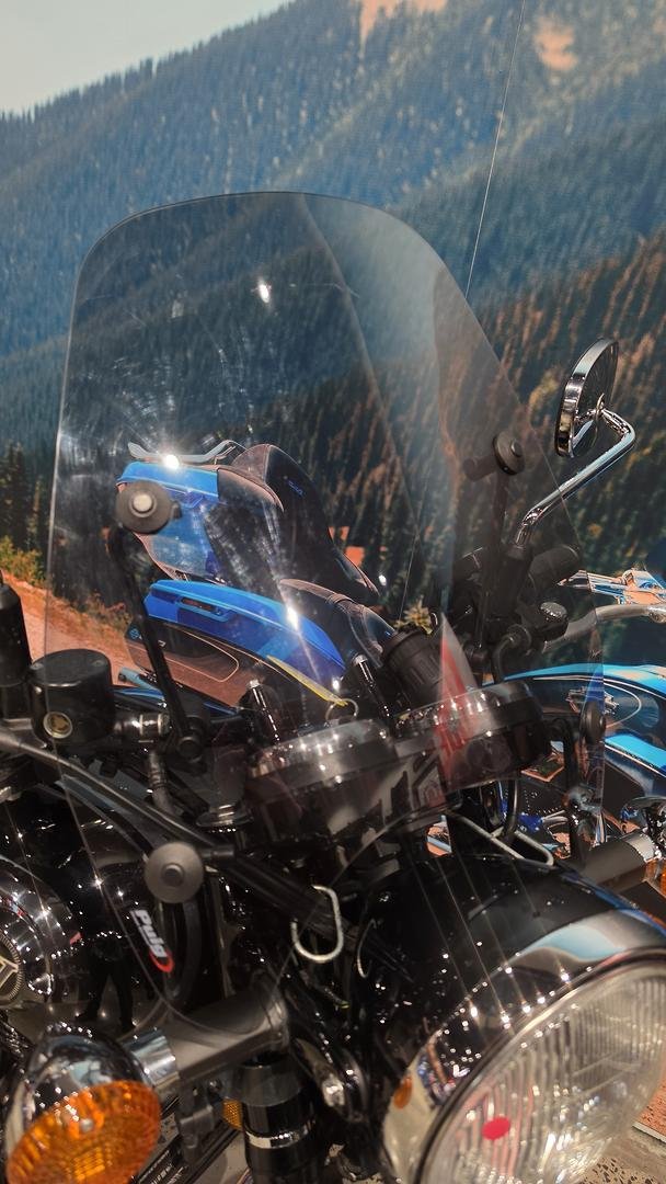 2015 Kawasaki W800 SE