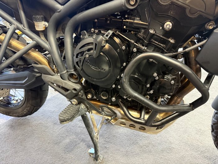 2014 Triumph TIGER 800 ABS Green