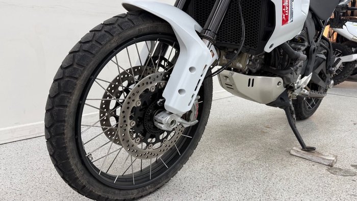 2023 DUCATI DESERTX White