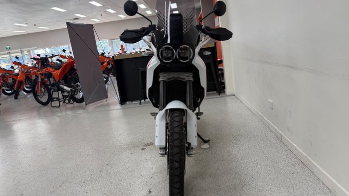 2023 DUCATI DESERTX White
