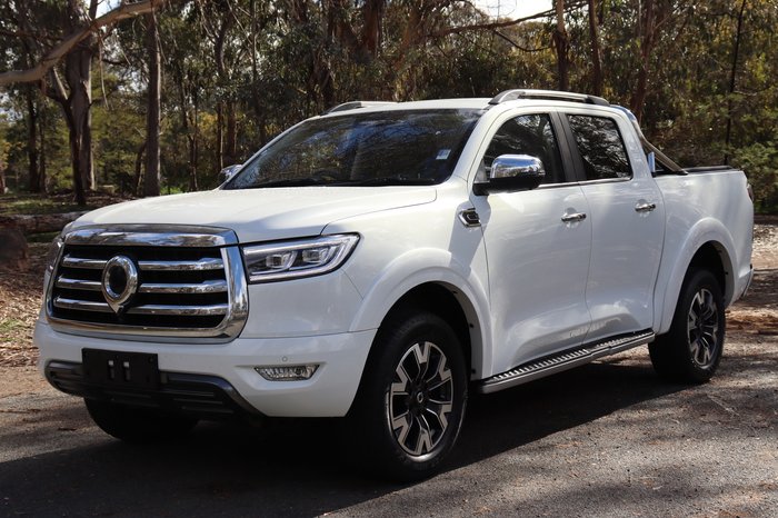 2022 GWM Ute Cannon-L
