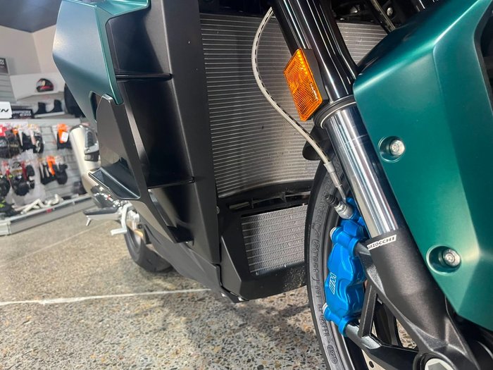 2026 BMW Motorrad M 1000 XR GREEN