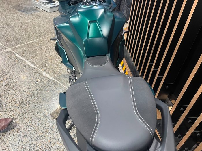 2026 BMW Motorrad M 1000 XR GREEN