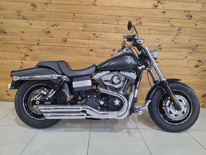 2009 Harley-Davidson