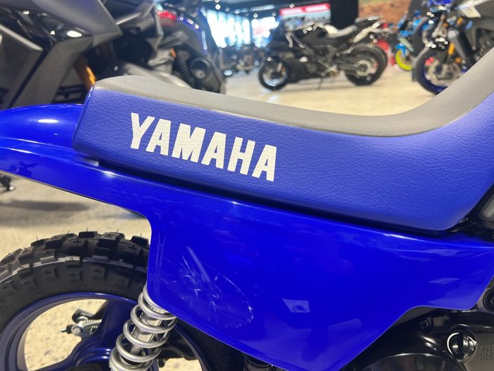 2027 Yamaha PW50V (PEE-WEE) Minibike