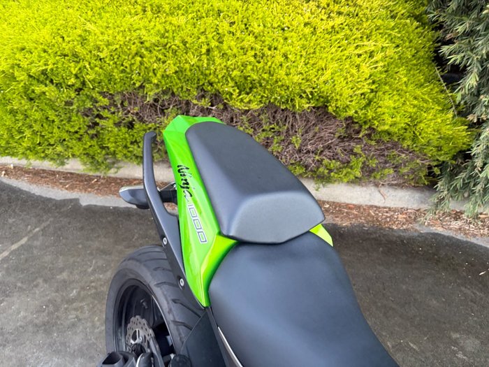 2012 Kawasaki NINJA 1000 Green
