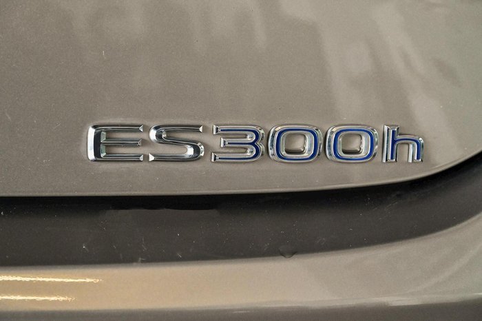 2019 Lexus ES 300h Sports Luxury