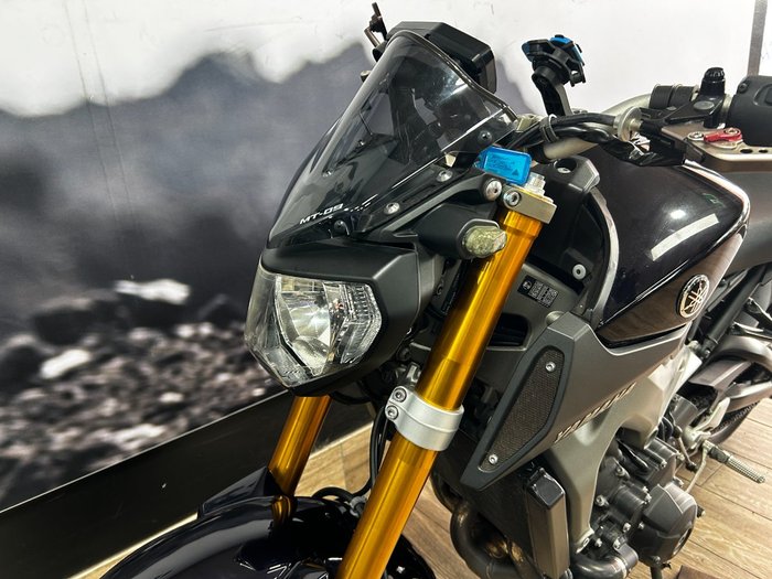 2015 Yamaha MT-09 GREY