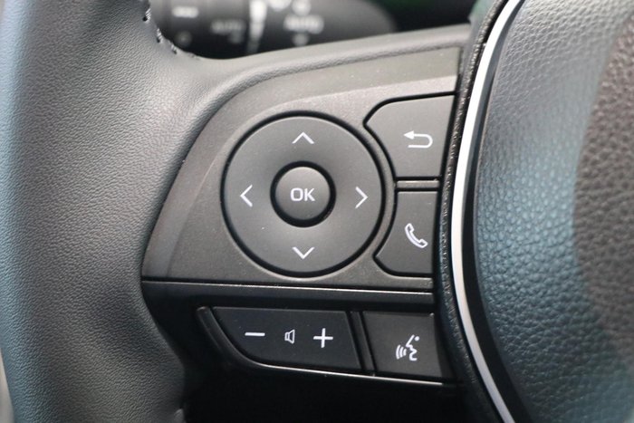 2025 Toyota RAV4 Cruiser