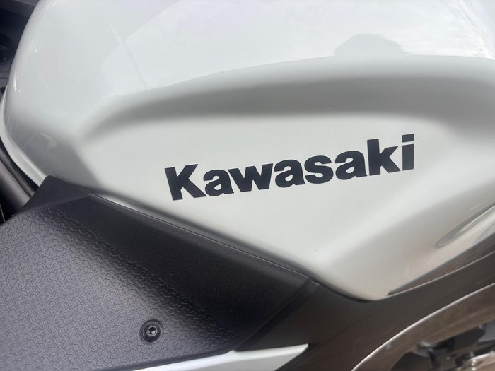 2026 Kawasaki Ninja 500 SE Ninja White