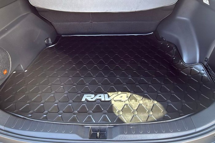 2020 Toyota RAV4 Cruiser
