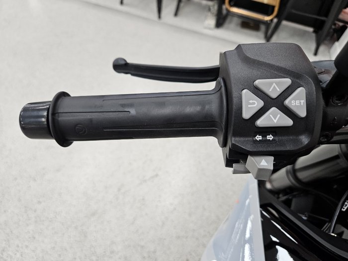 2024 Ktm 790 DUKE grey