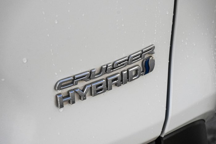 2020 Toyota RAV4 Cruiser