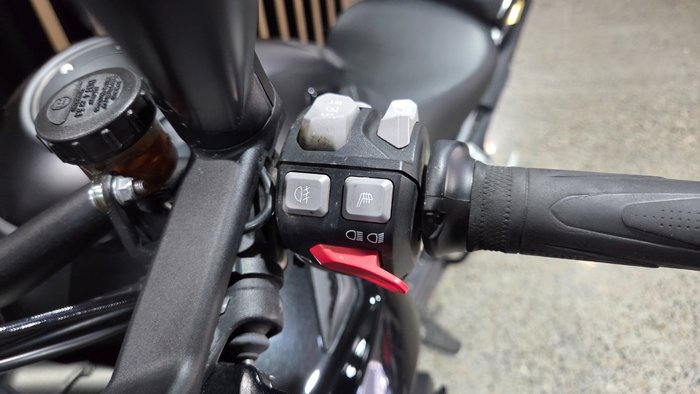 2022 Triumph TIGER 1200 RALLY EXPLORER Black