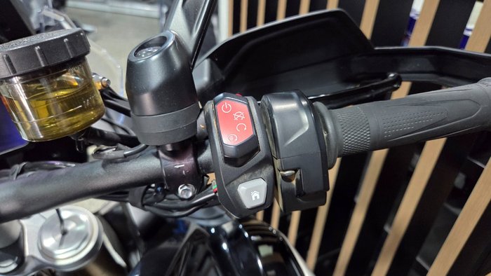 2022 Triumph TIGER 1200 RALLY EXPLORER Black