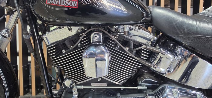 2008 Harley-Davidson FXSTC SOFTAIL CUSTOM Black