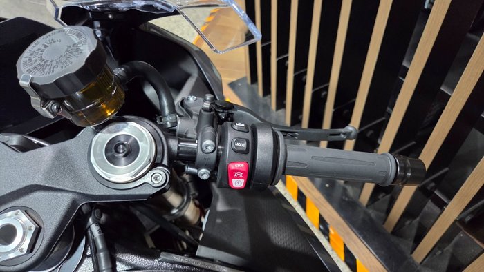 2026 BMW Motorrad S 1000 RR SILVER