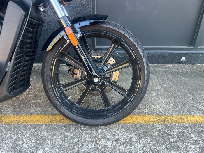 2023 Indian SCOUT BLACK
