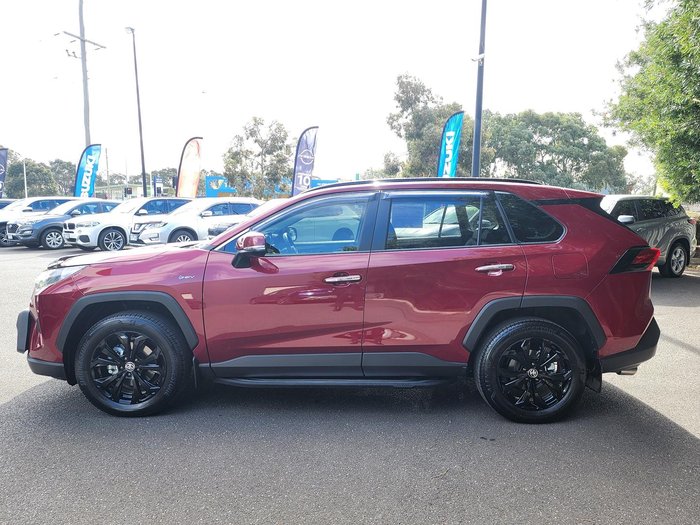 2025 Toyota RAV4 Cruiser