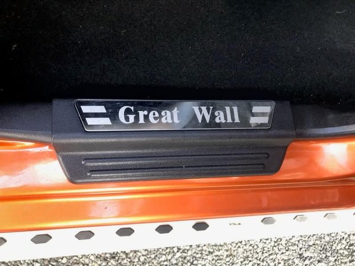 2019 Great Wall Steed