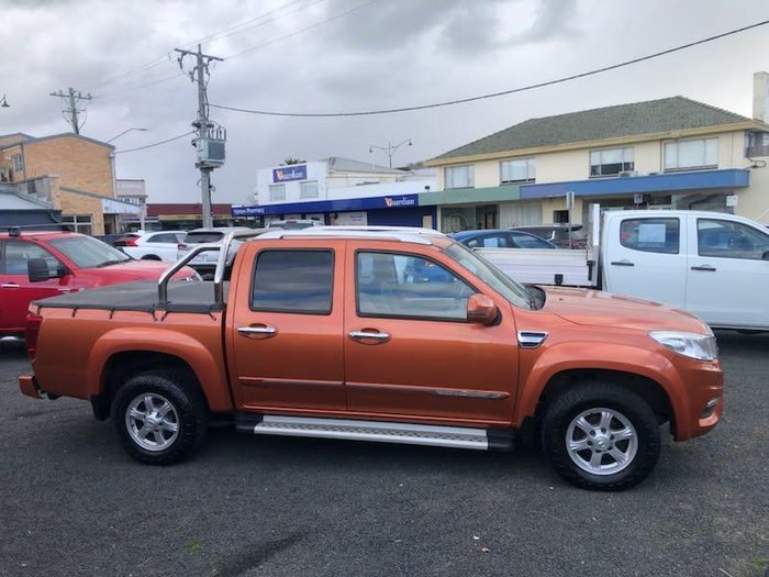 2019 Great Wall Steed