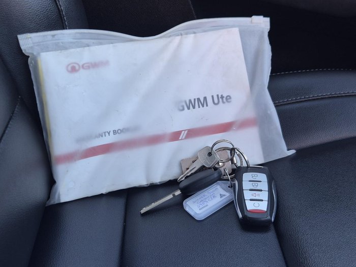2021 GWM Ute Cannon