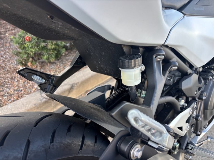 2024 Kawasaki NINJA 500 SE (LAMS) White