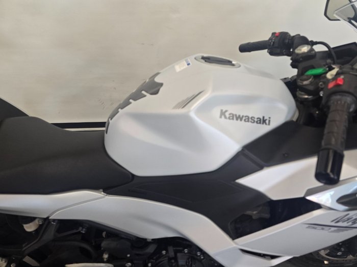 2024 Kawasaki 2024 Kawasaki 500CC Ninja 500 White