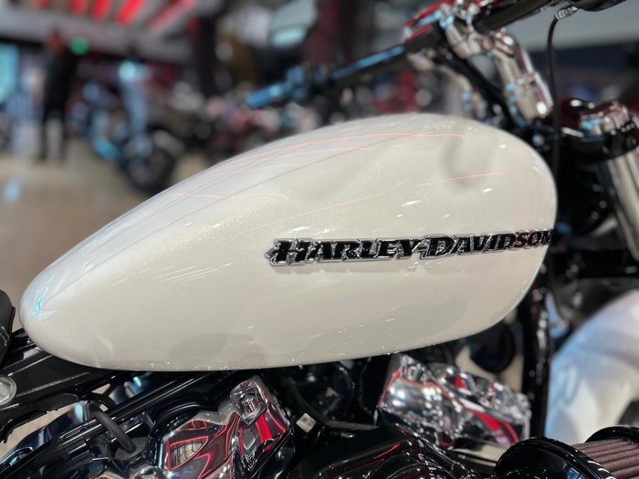 2019 Harley-Davidson Breakout 114 (FXBRS) Softail