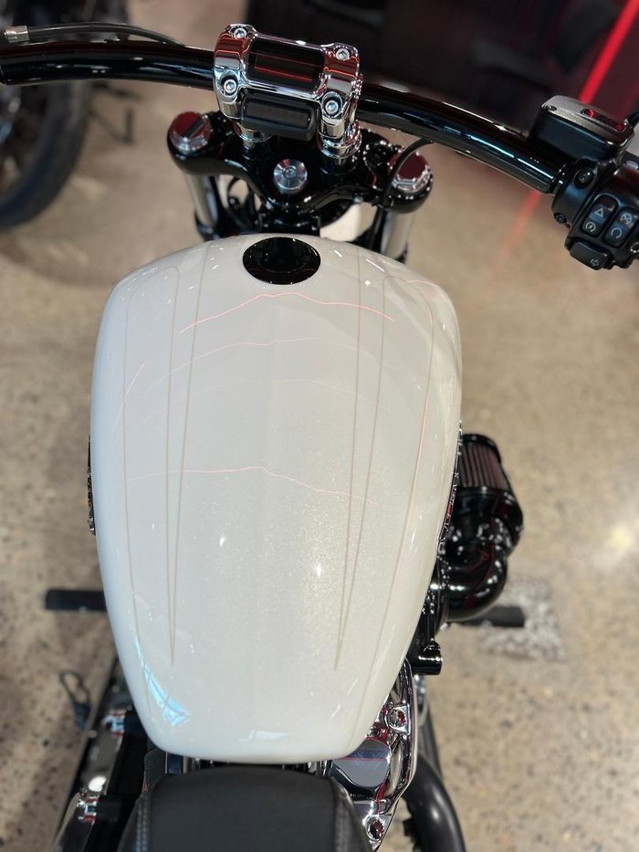 2019 Harley-Davidson Breakout 114 (FXBRS) Softail