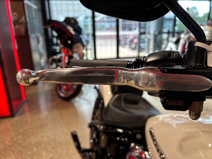2019 Harley-Davidson Breakout 114 (FXBRS) Softail