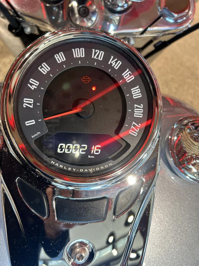 2019 Harley-Davidson Deluxe 107 (FLDE) Softail Blue
