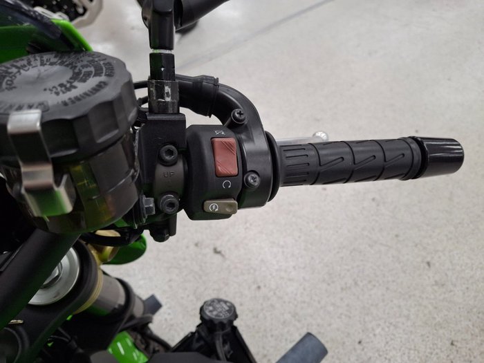 2018 Kawasaki Z900RS (ZR900C) Green