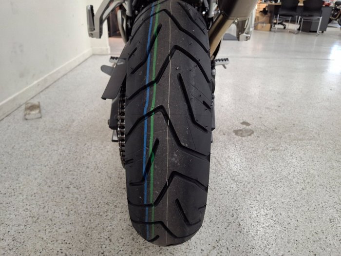 2027 Triumph TIGER 900 RALLY DESERT grey