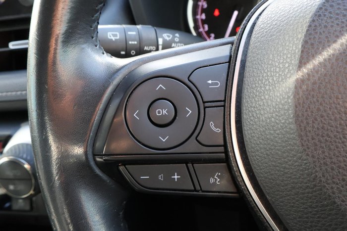 2019 Toyota RAV4 Cruiser