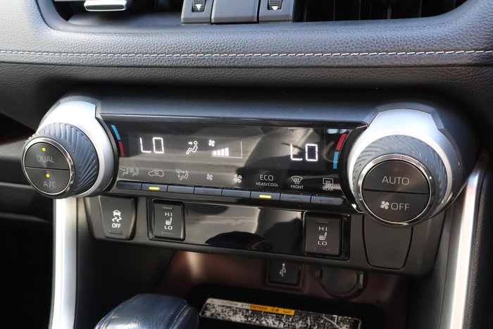 2019 Toyota RAV4 Cruiser