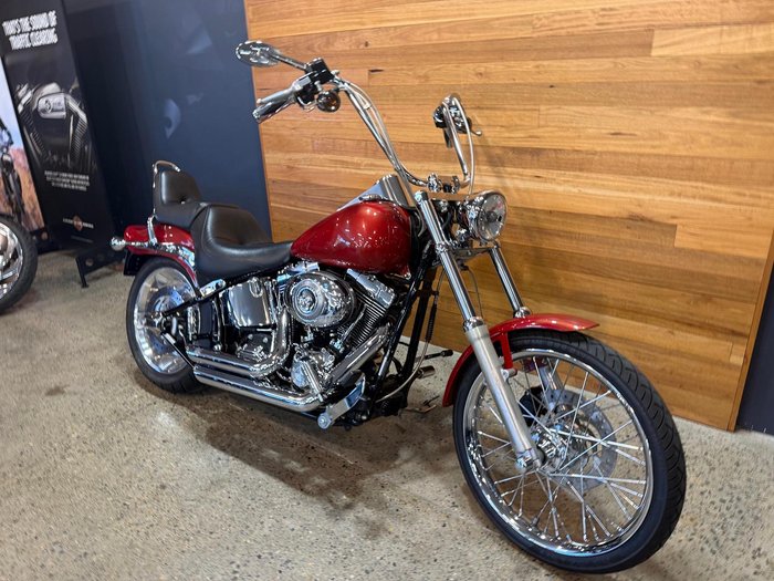2008 Harley-Davidson Softail Custom 1584 (FXSTC)