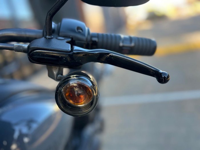 2022 Harley-Davidson Low Rider S 117 (FXLRS) Softail