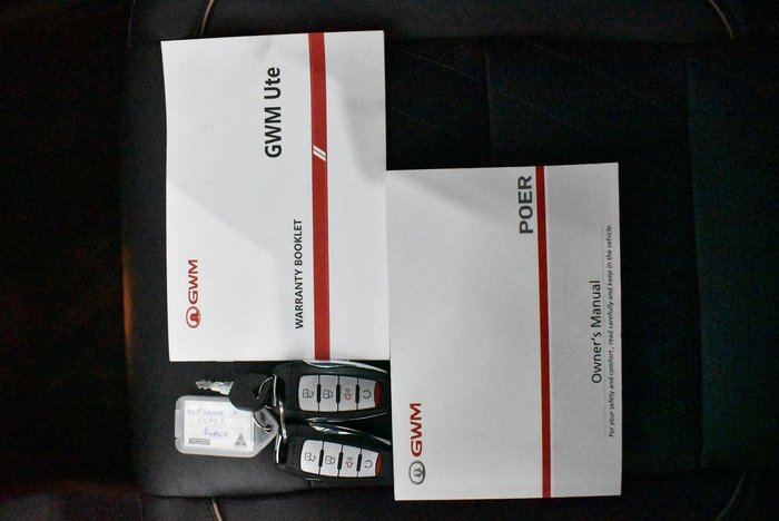 2022 GWM Ute Cannon-X