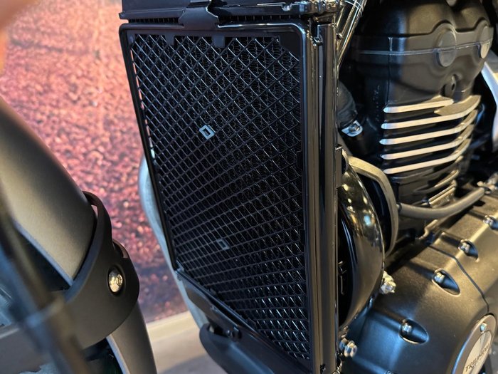 2025 Triumph Scrambler 400 X Scrambler Silver