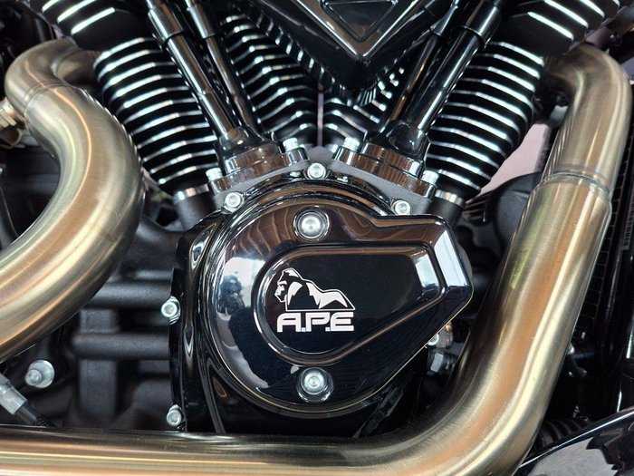 2026 Harley-Davidson Fat Boy 117 (FLFB)