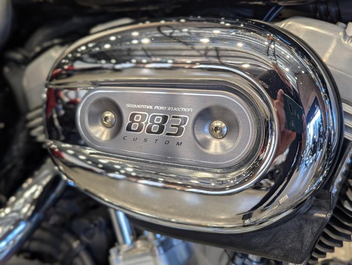 2008 Harley-Davidson Sportster 883 Custom (XL883C)