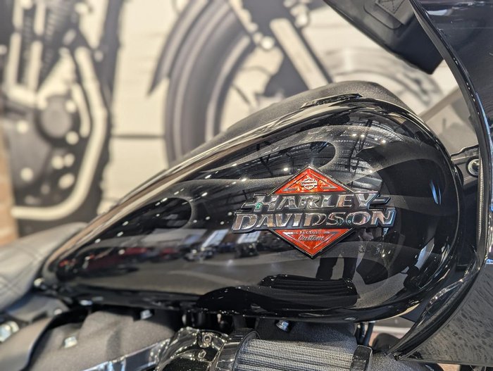 2025 Harley-Davidson Low Rider ST 117 (FXLRST)