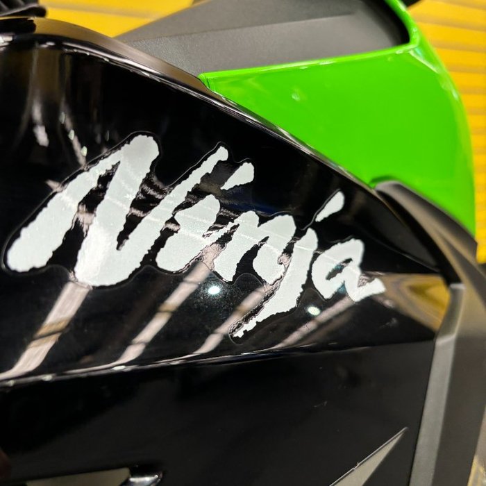 2019 Kawasaki NINJA 400 SE Green