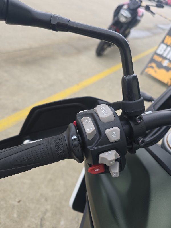 2020 Triumph TIGER 900 RALLY Green