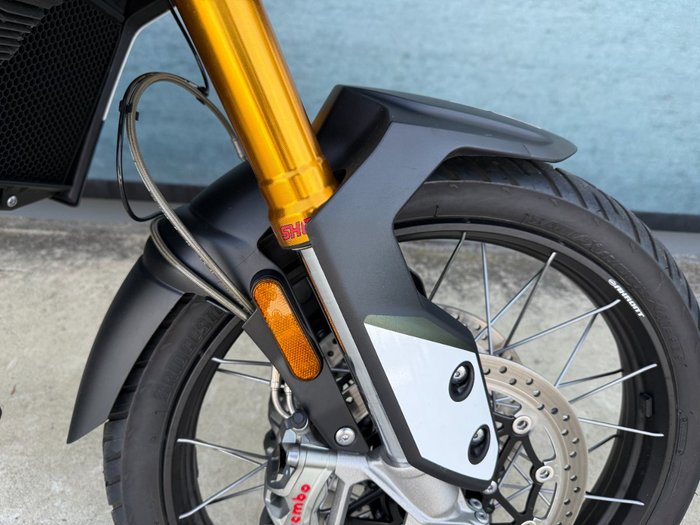 2020 Triumph TIGER 900 RALLY Green