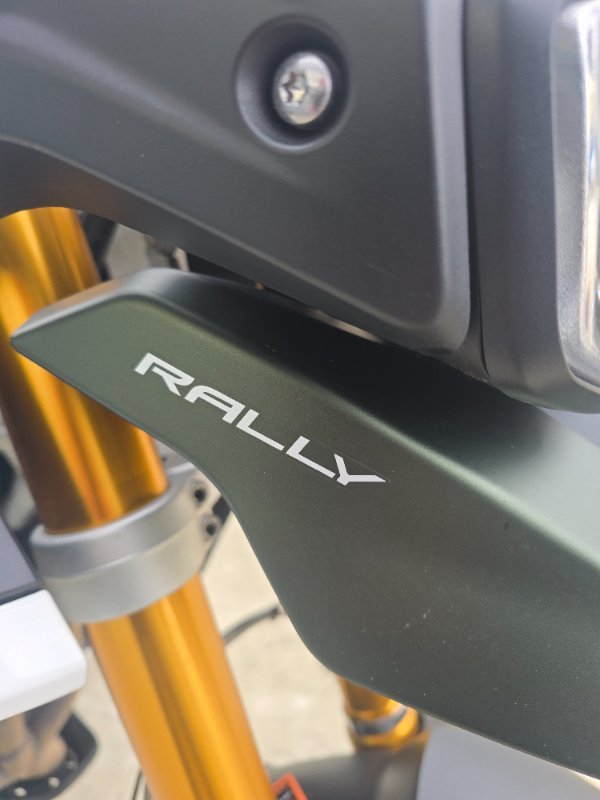2020 Triumph TIGER 900 RALLY Green