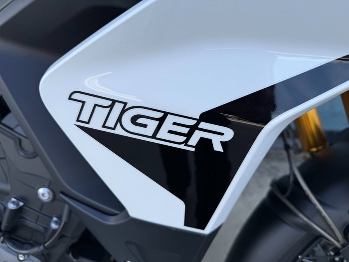 2020 Triumph TIGER 900 RALLY Green
