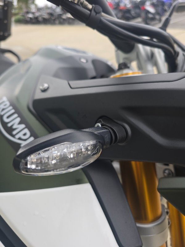 2020 Triumph TIGER 900 RALLY Green
